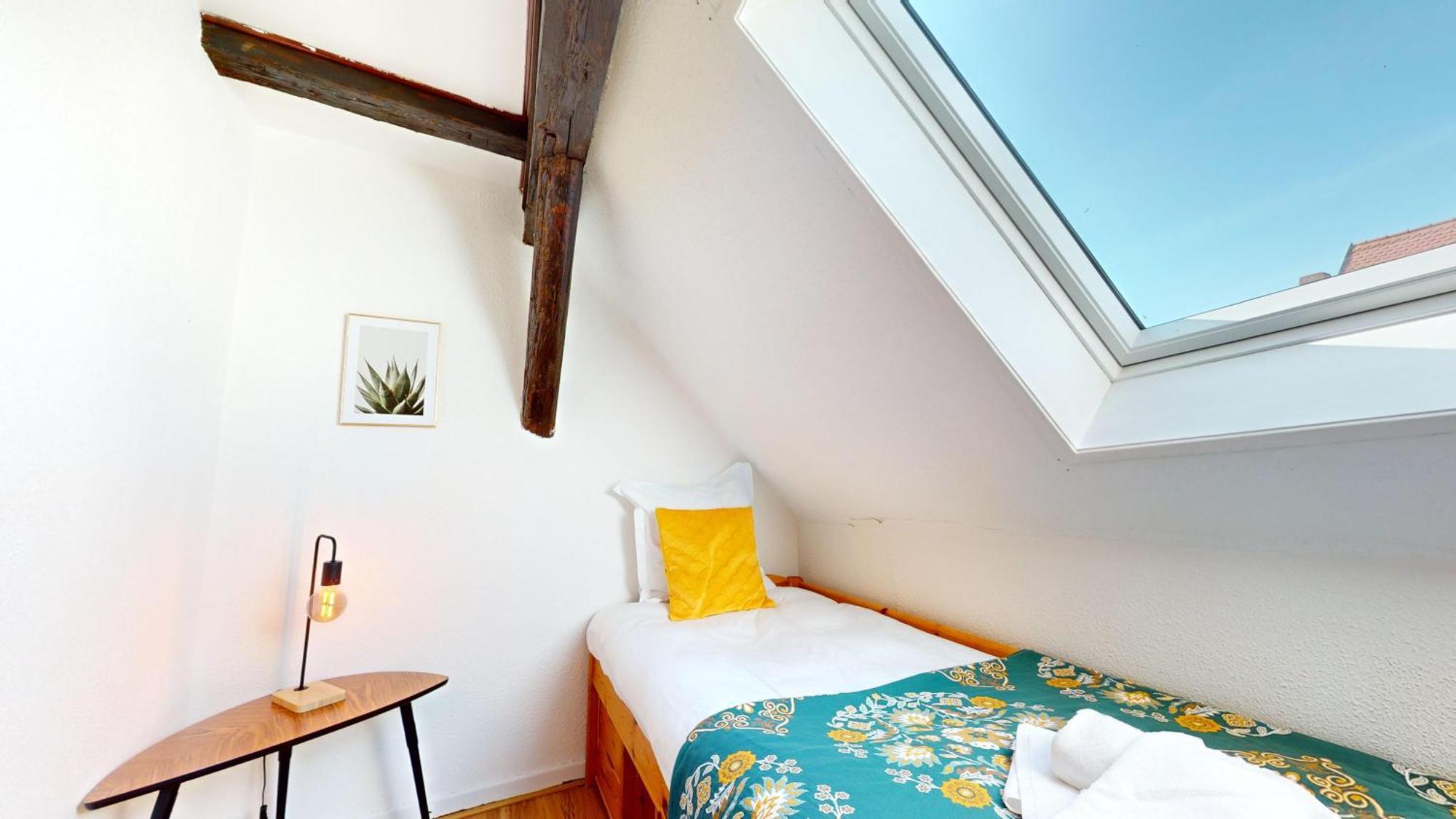 Le Petit Chez Vous Apartment Colmar Exterior photo